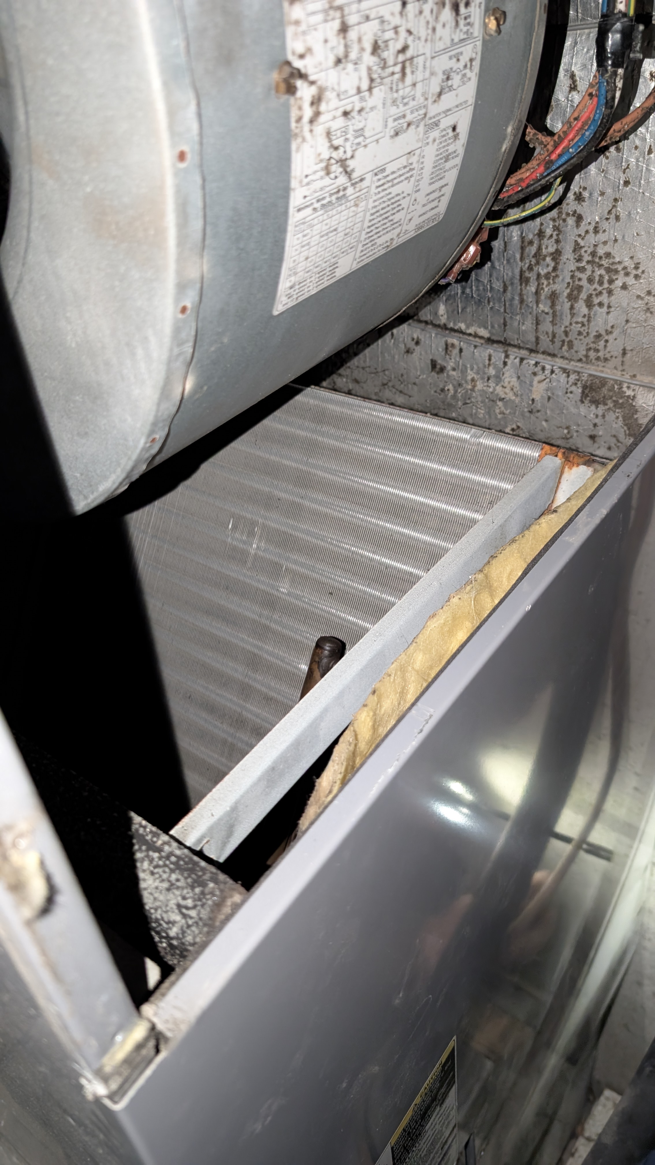 Blower housing, evaporator coil and rust-stained drain pan inside the old air handler, Memphis Indiana second opinion inspection