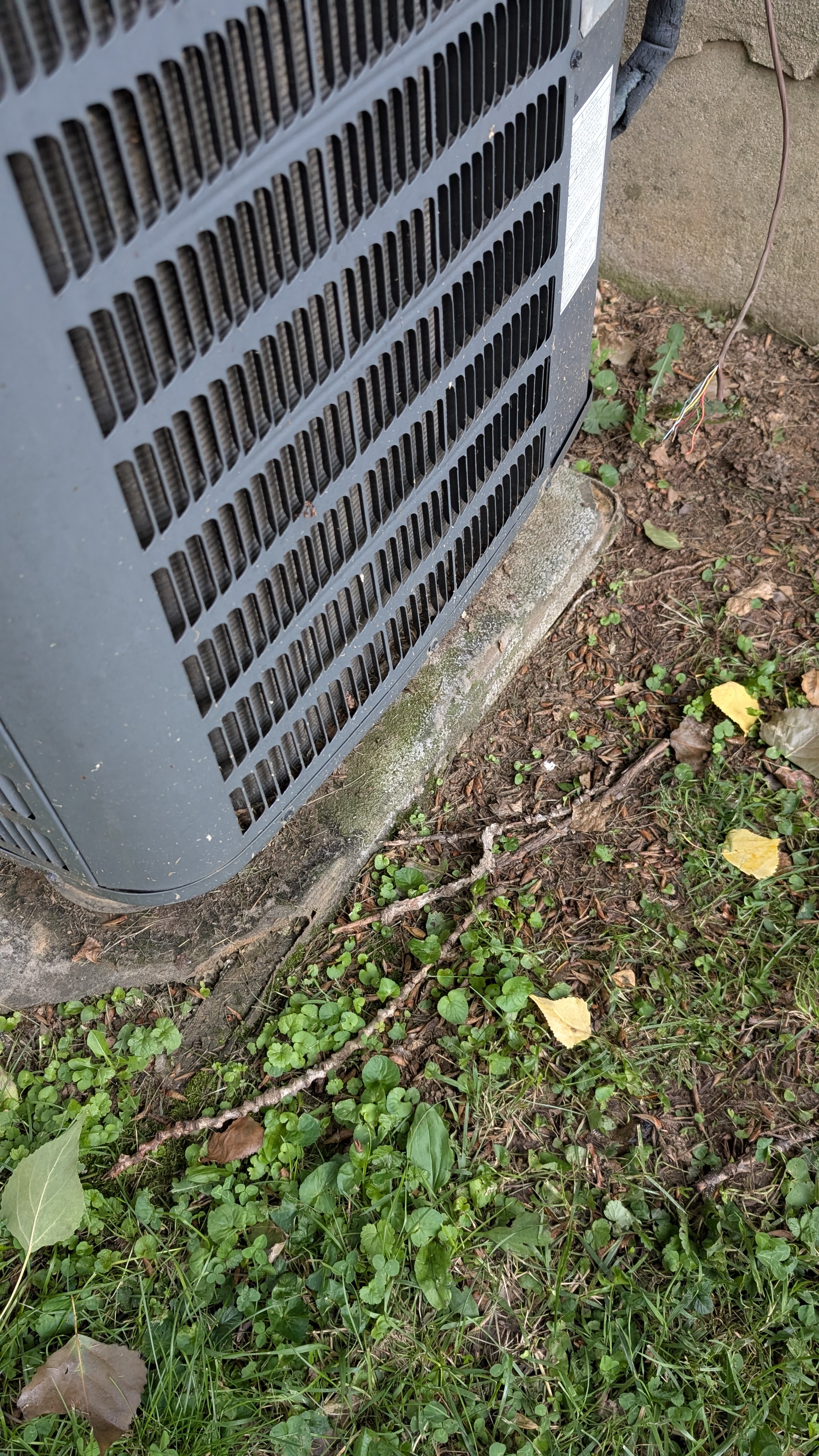 Deteriorated concrete pad under central AC condenser with overgrown vegetation before service