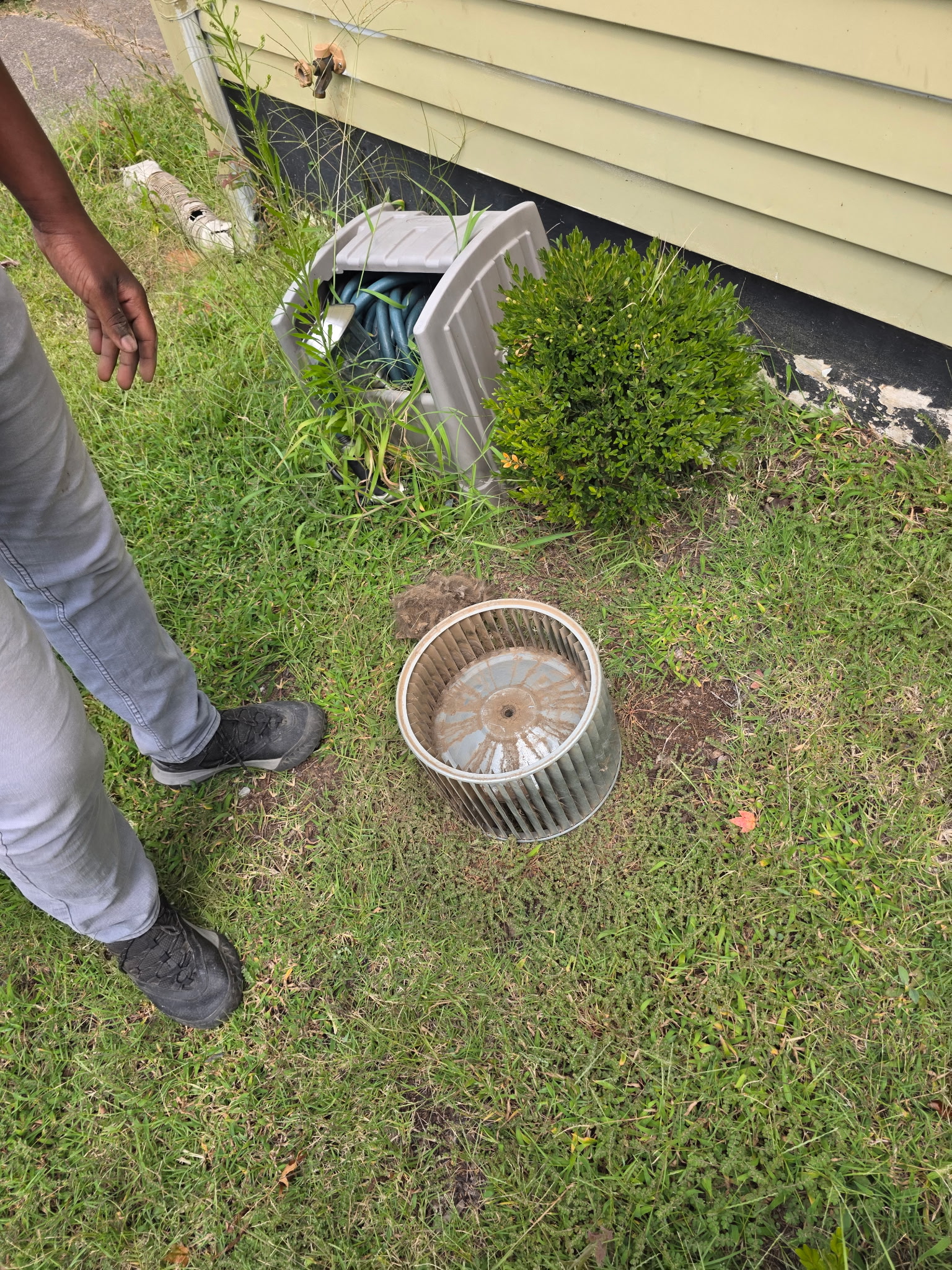 Dirty blower wheel removed from air handler on lawn during ductless clean and check service